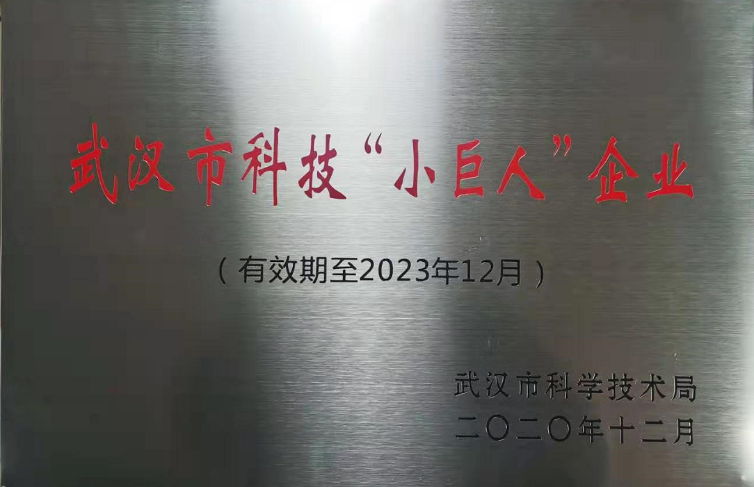 武汉安邦致远科技有限公司
